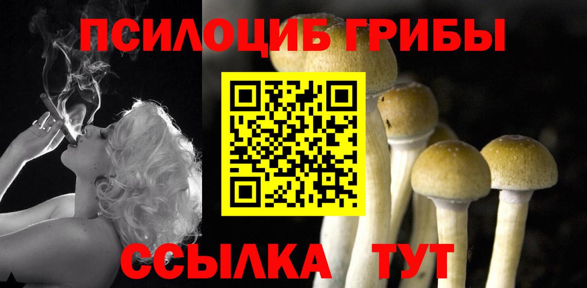 Псилоцибиновые грибы GOLDEN TEACHER  Псилоцибиновые грибы Psilocybine cubensis  Тавда  Вход с VPN 